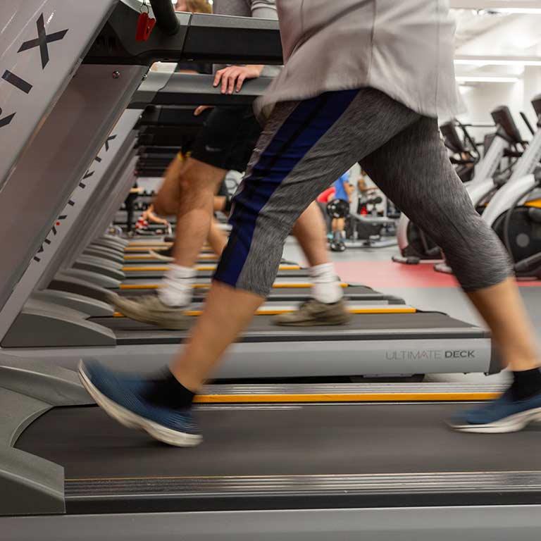 A row of legs walk on treadmills.